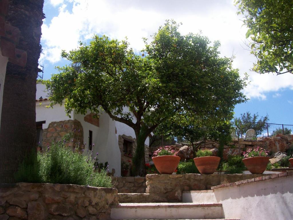 Casa De Abajo Villa Prado Del Rey Exteriör bild