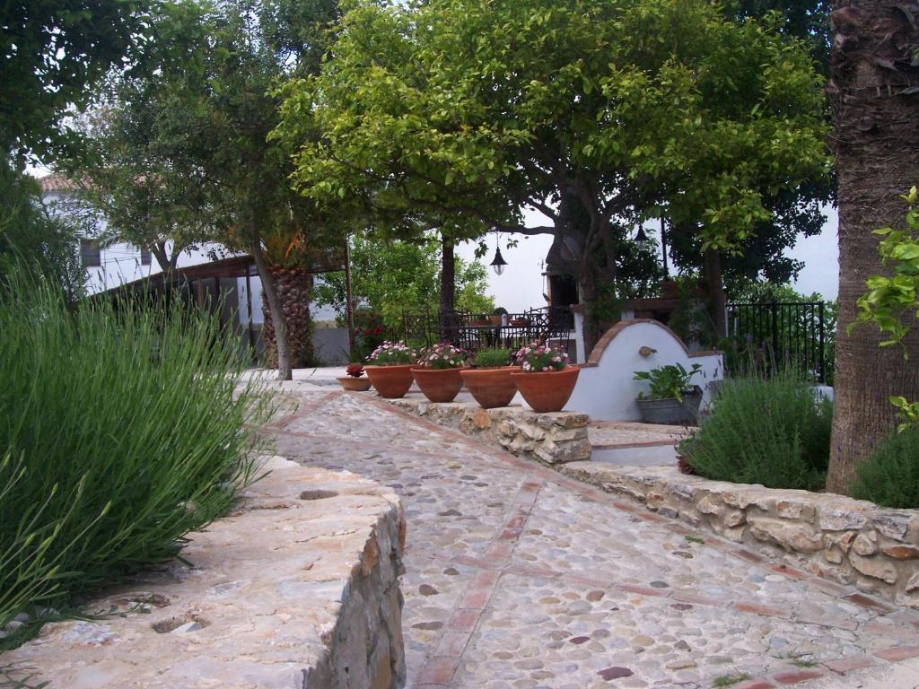 Casa De Abajo Villa Prado Del Rey Exteriör bild