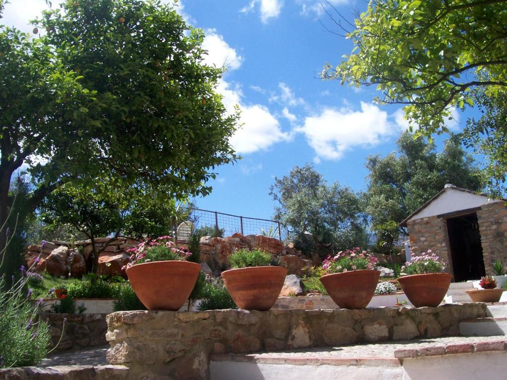 Casa De Abajo Villa Prado Del Rey Exteriör bild