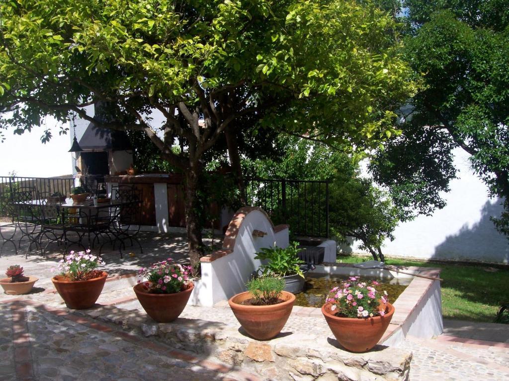 Casa De Abajo Villa Prado Del Rey Exteriör bild